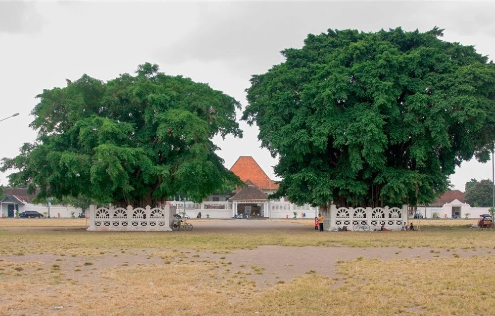 Alun-Alun Kidul in Yogyakarta Pictures